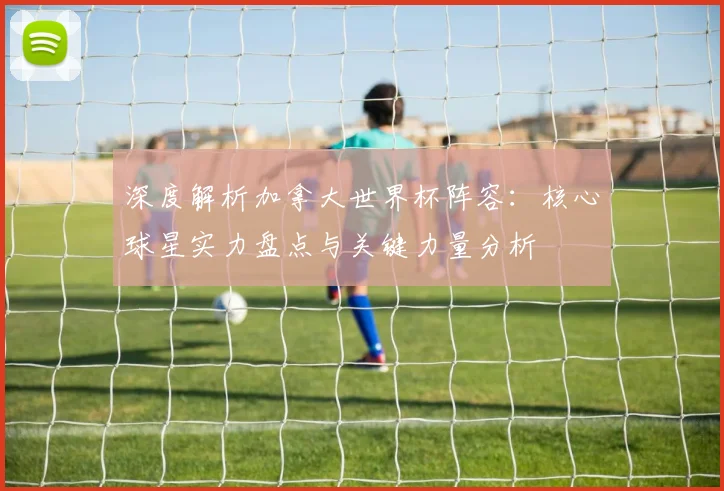 深度解析加拿大世界杯阵容：核心球星实力盘点与关键力量分析
